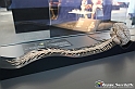 VBS_2976 - Sistema nervoso centrale - Mostra Body Worlds